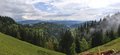 20250521_154932_-_20250521_154933.jpg