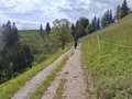 20250521_155221.jpg