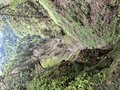 20250521_155639.jpg