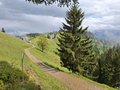 20250521_155645.jpg
