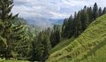 20250521_155648.jpg
