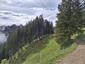 20250521_160018.jpg
