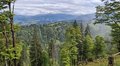 20250521_160655.jpg