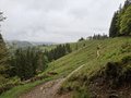 20250522_104328.jpg