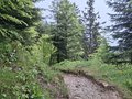 20250522_104331.jpg