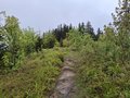 20250522_120317.jpg
