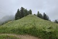 20250522_150806.jpg