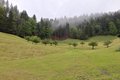 20250522_160514.jpg