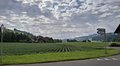 20250523_092229.jpg