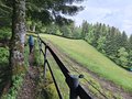 20250523_102816.jpg
