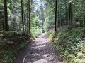20250523_140601.jpg