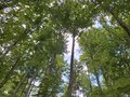 20250523_172104.jpg