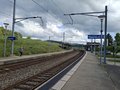 20250523_175045.jpg