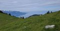 20250525_103028.jpg