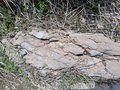 20250525_114941.jpg