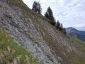 20250525_120937.jpg