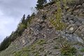 20250525_144337.jpg