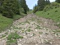 20250525_144649.jpg