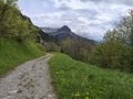 20250525_150815.jpg