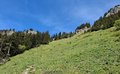 20250529_125221.jpg