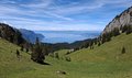 20250529_130555.jpg