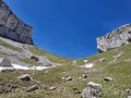 20250529_144951.jpg