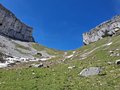 20250529_145142.jpg