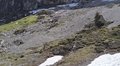 20250529_145409.jpg