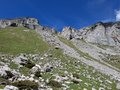 20250529_145905.jpg