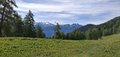 20250531_101313.jpg