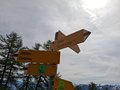 20250531_111105.jpg