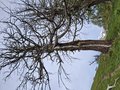20250531_112844.jpg