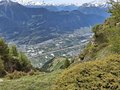 20250531_113103.jpg