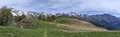 20250531_115032_-_20250531_115035.jpg
