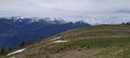 20250531_115826.jpg