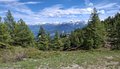 20250531_152654.jpg