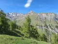 20250531_163850.jpg