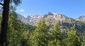 20250531_171135.jpg