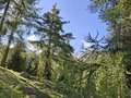 20250531_171713.jpg