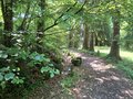 20250608_102134.jpg