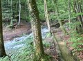 20250608_102658.jpg