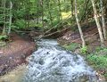 20250608_102708.jpg