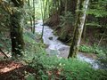 20250608_105316.jpg