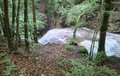 20250608_105716.jpg