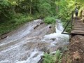 20250608_105918.jpg