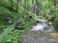 20250608_110026.jpg