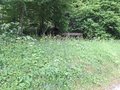20250608_124823.jpg