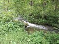 20250608_125230.jpg