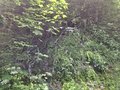 20250608_125510.jpg