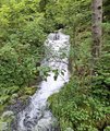 20250608_125618.jpg